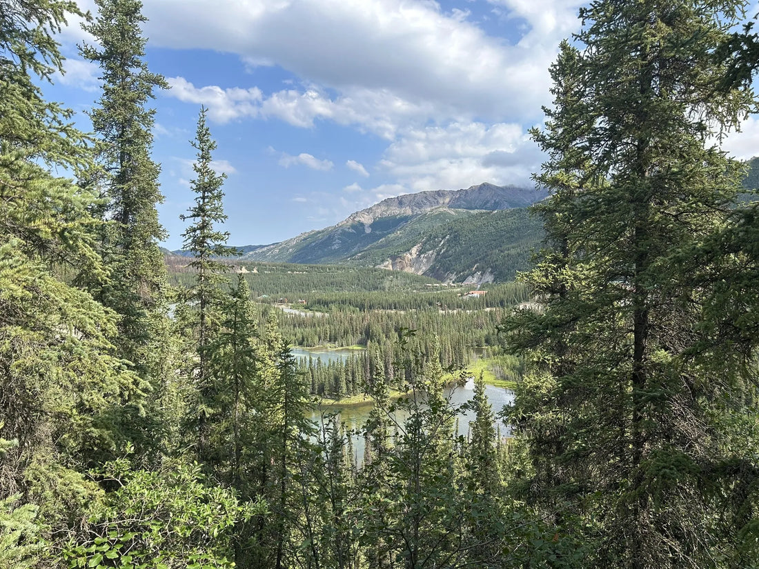 Top Influencer Agencies and Companies in Alaska