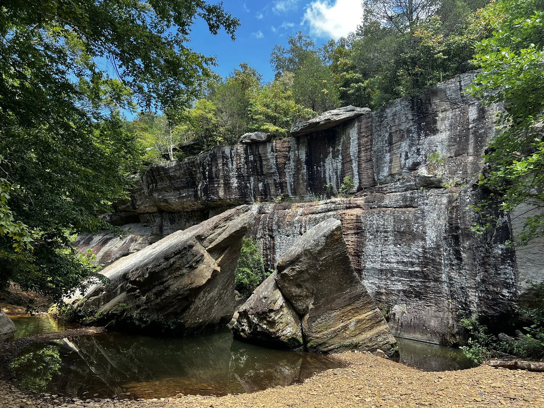 Top or Best Logo Animation Agencies and Companies in Illinois