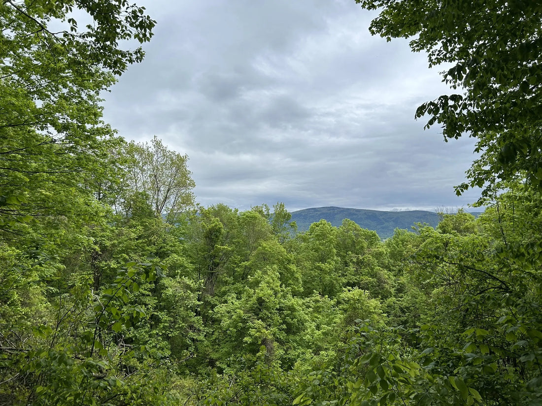 Best or Top Website Design Agencies and Companies in Barre Town, Vermont