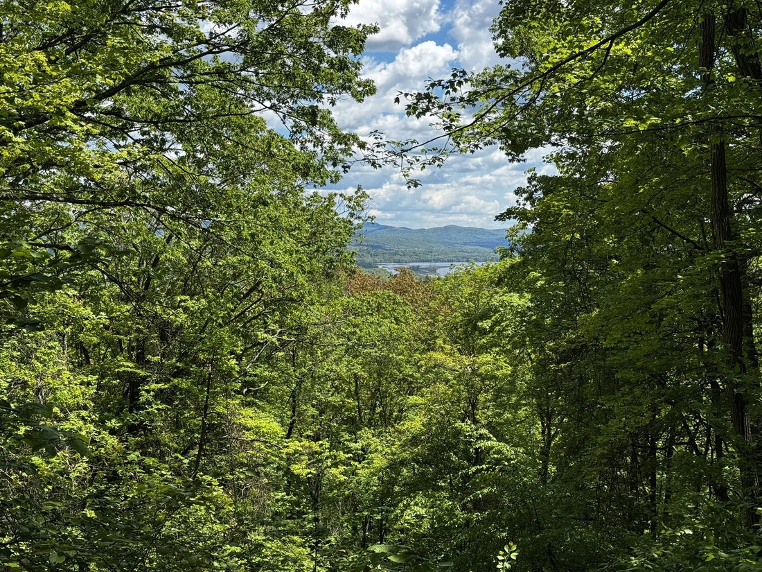 Best or Top Business Card Design Agencies and Companies in Montpelier, Vermont