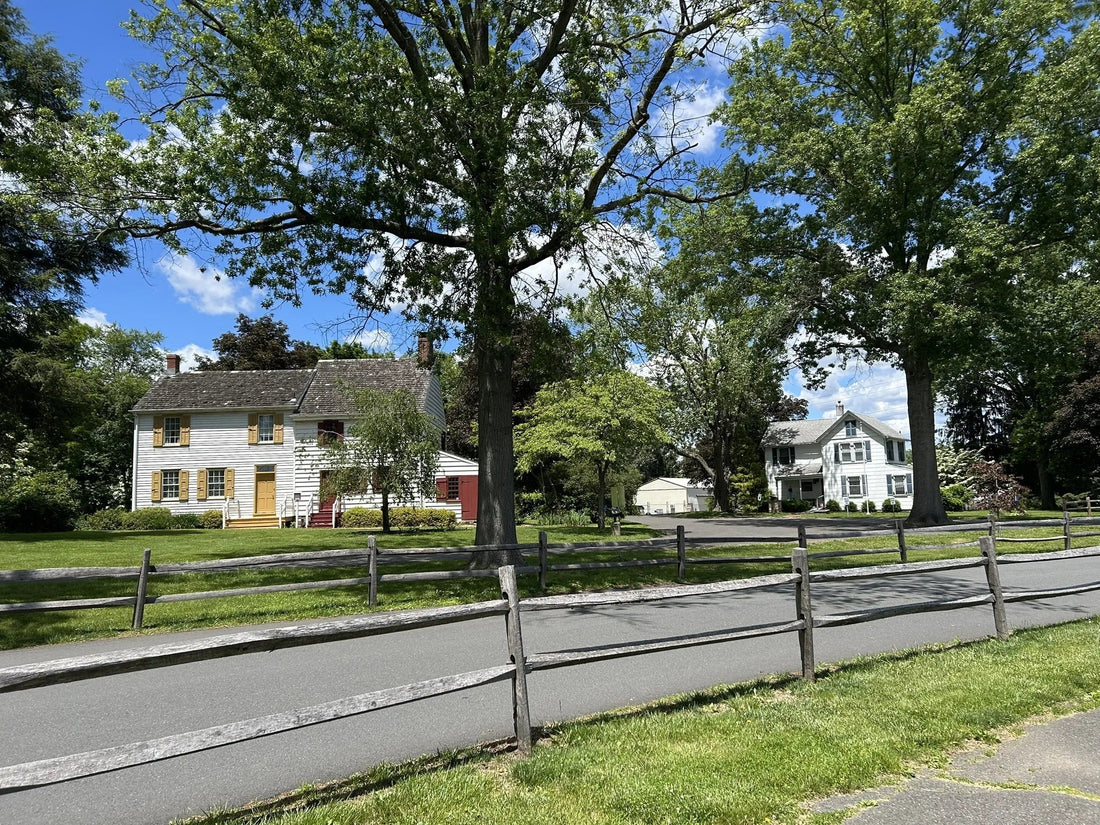 Best or Top TikTok Management Agencies and Companies in Hamilton Township, New Jersey