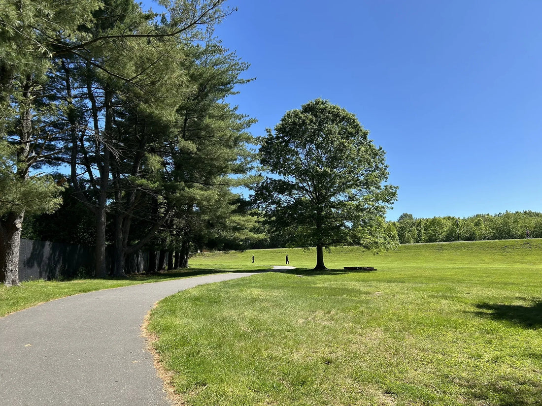 Best or Top Email Campaign Design Agencies and Companies in Hamilton Township, New Jersey