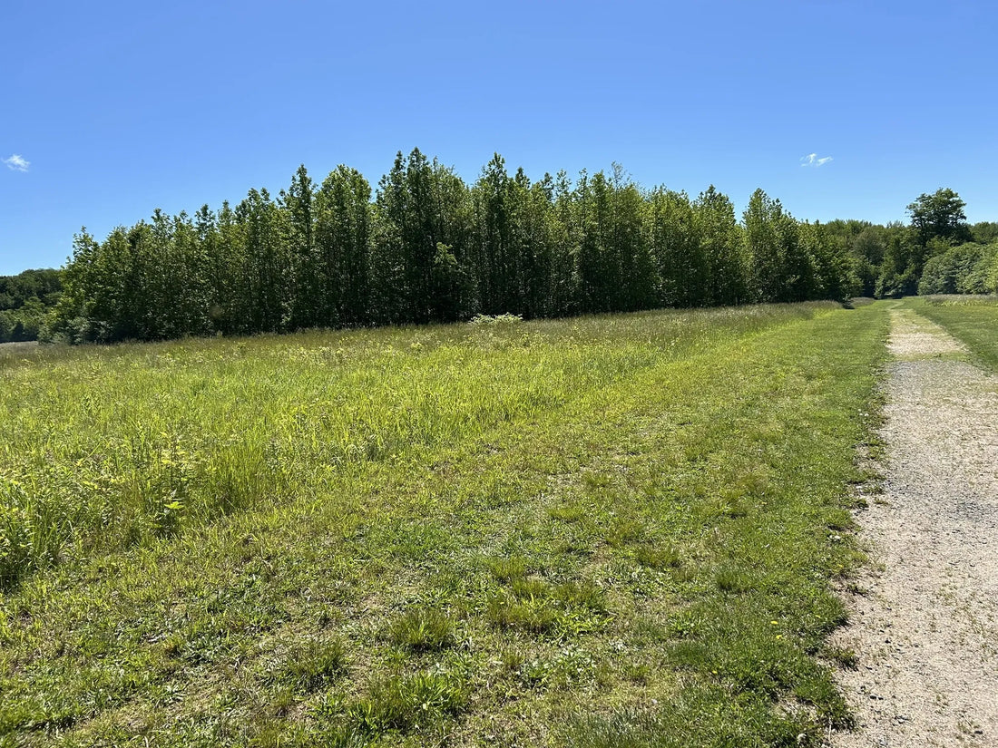 Best or Top Virtual Background Agencies and Companies in Hamilton Township, New Jersey