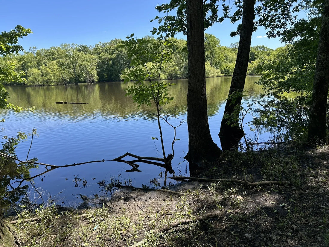 Best or Top Animation and Motion Graphics Agencies and Companies in Hamilton Township, New Jersey