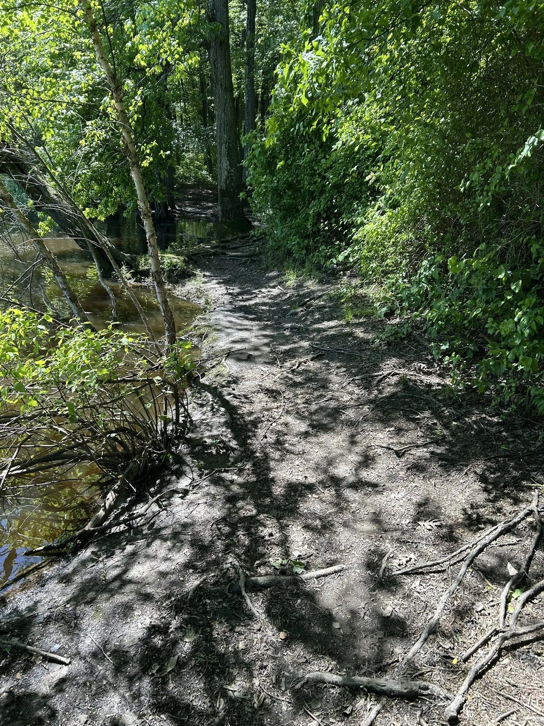 Best or Top Graphics for Streamers Agencies and Companies in Hamilton Township, New Jersey