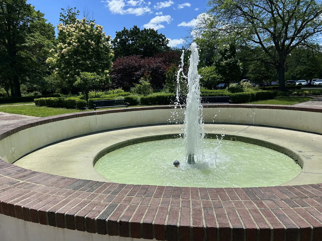 Best or Top Postcard Design Agencies and Companies in Hamilton Township, New Jersey