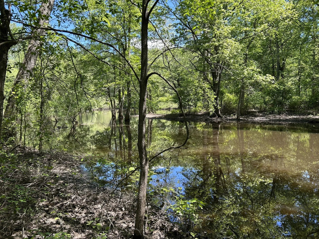 Best or Top Menu Design Agencies and Companies in Hamilton Township, New Jersey