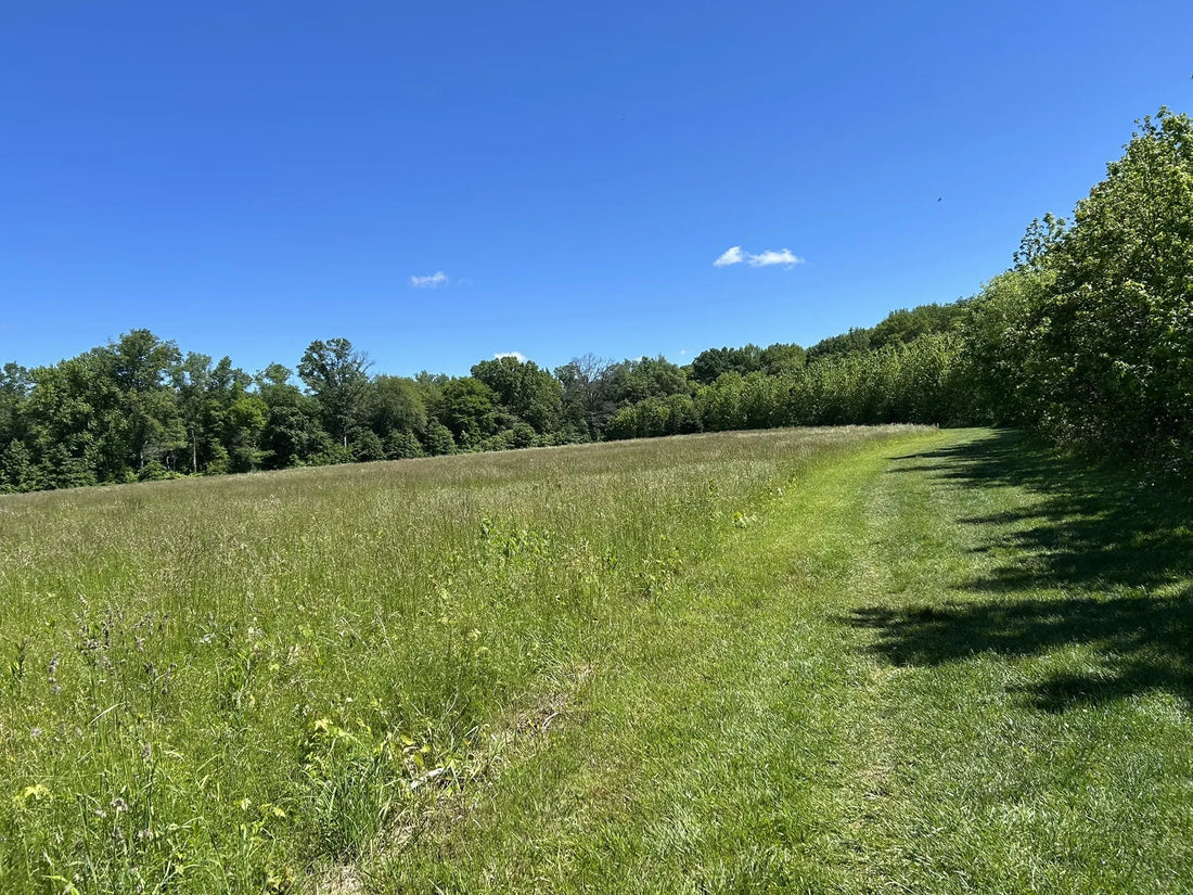 Best or Top Invitation Design Agencies and Companies in Hamilton Township, New Jersey