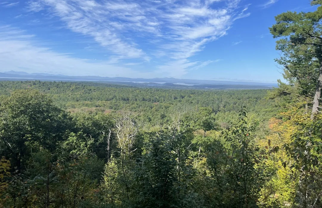 Top or Best Banner Ads Agencies and Companies in Marysville, Washington