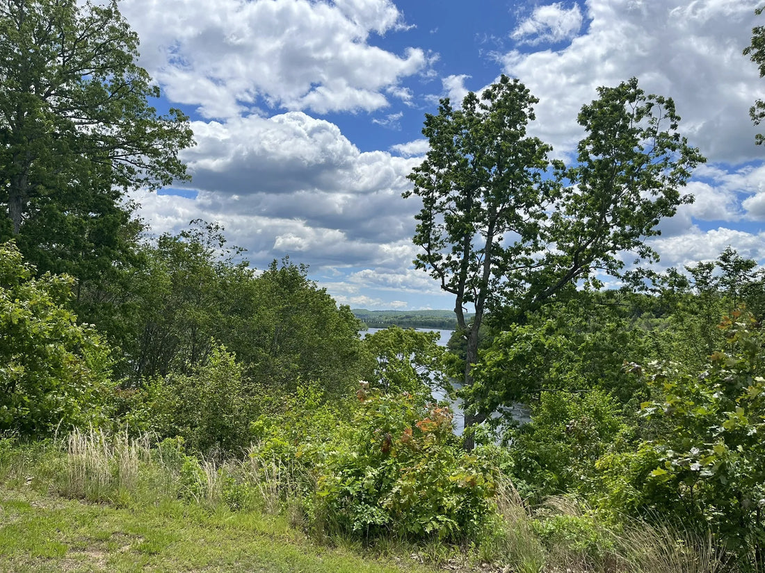 Top Influencer Brand Partnership Agencies and Companies in Connecticut