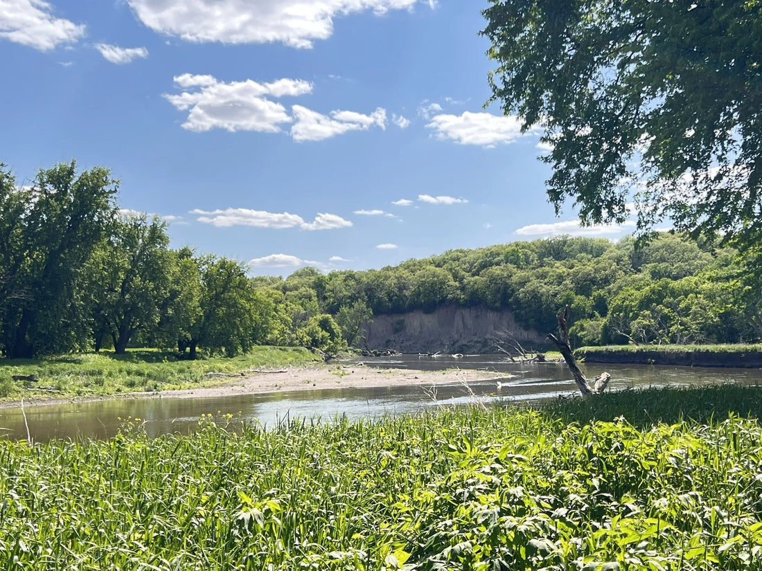 Best or Top Postcard Design Agencies and Companies in Sioux Falls, South Carolina