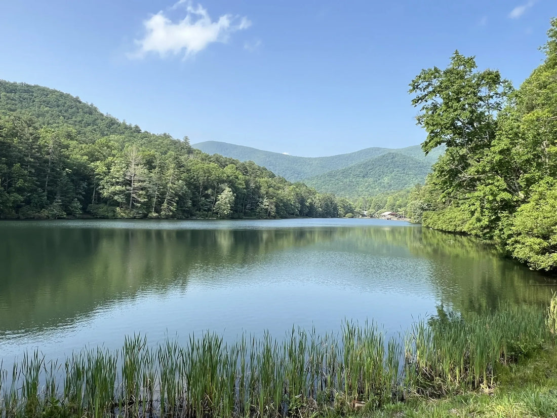 Top Athlete Brand Partnership Agencies and Companies in Georgia