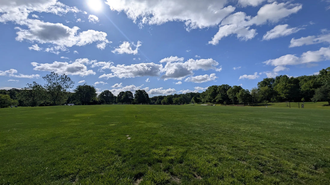 Best or Top Brand Identity Packages Agencies and Companies in Woodbridge, New Jersey