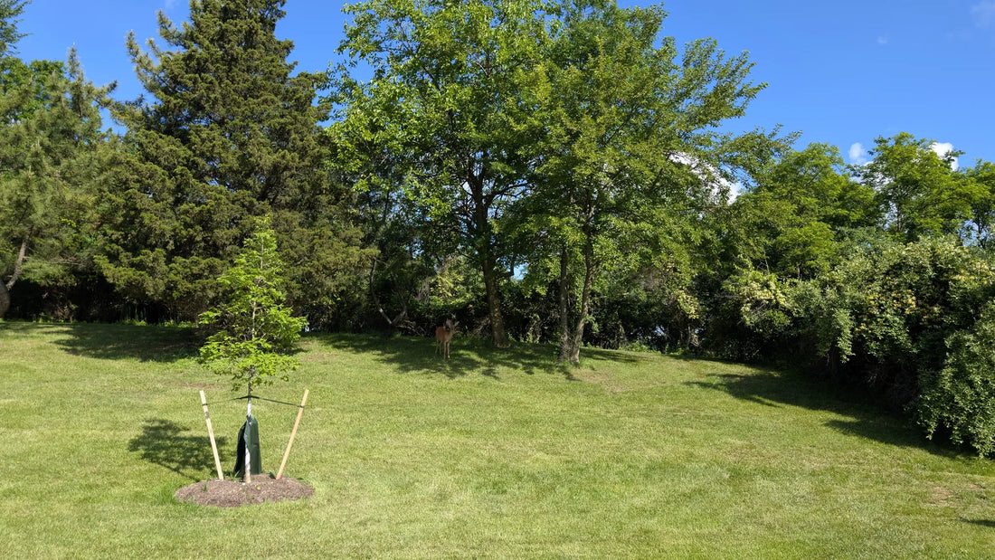 Best or Top Stationery Design Agencies and Companies in Woodbridge, New Jersey