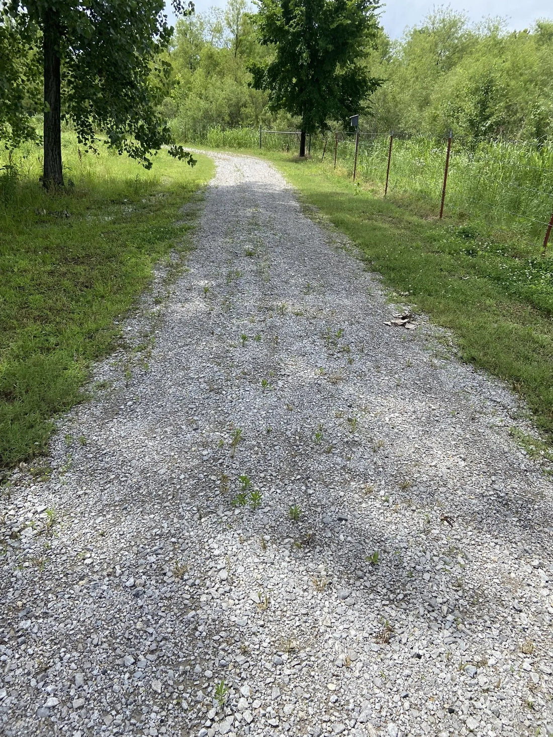 Best or Top Cartoons & Comics Agencies and Companies in Bixby, Oklahoma