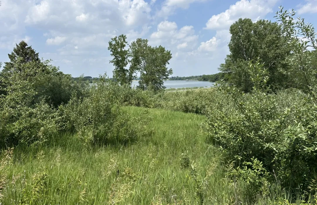 Top or Best Video Editing Agencies and Companies in Chalco, Nebraska