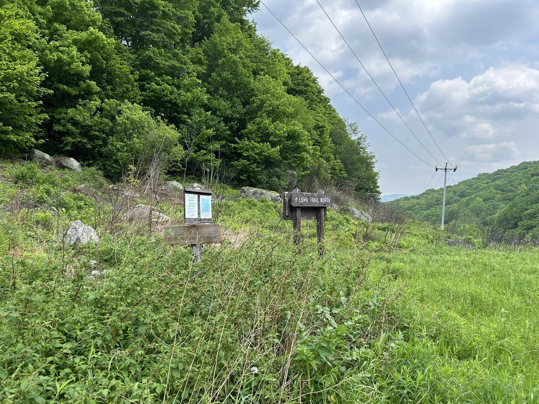 Best or Top Animation & Motion Graphics Agencies and Companies in Montpelier, Vermont