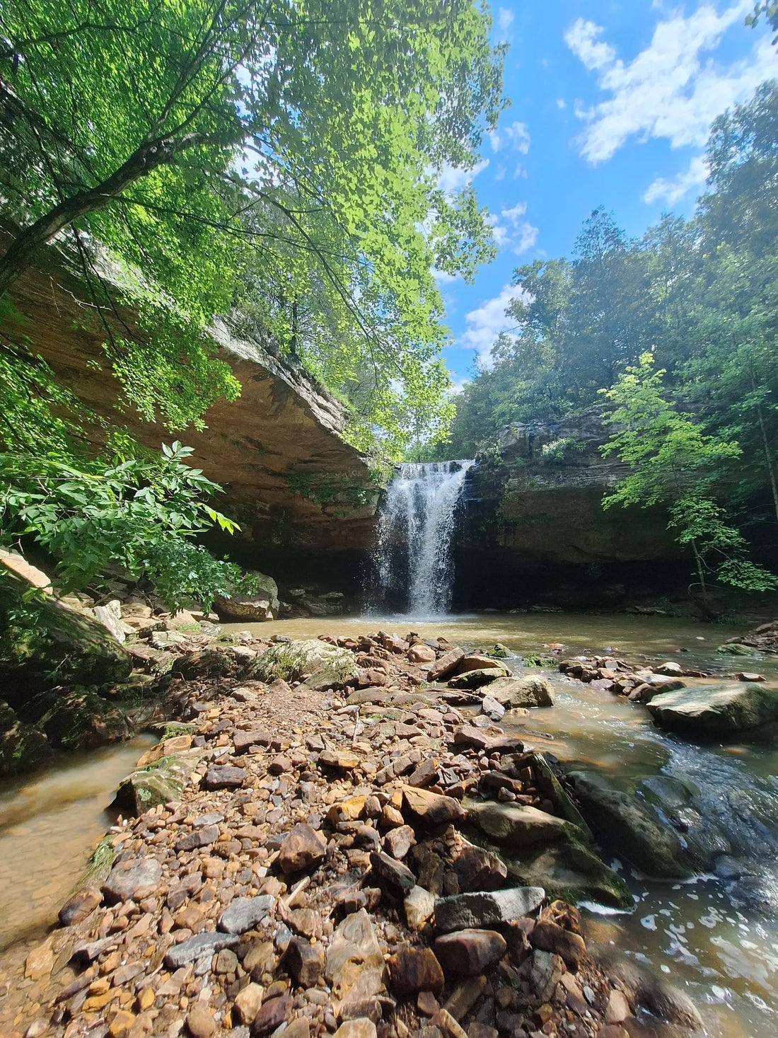 Top or Best Influencer Outreach & Coordination Agencies and Companies in Illinois