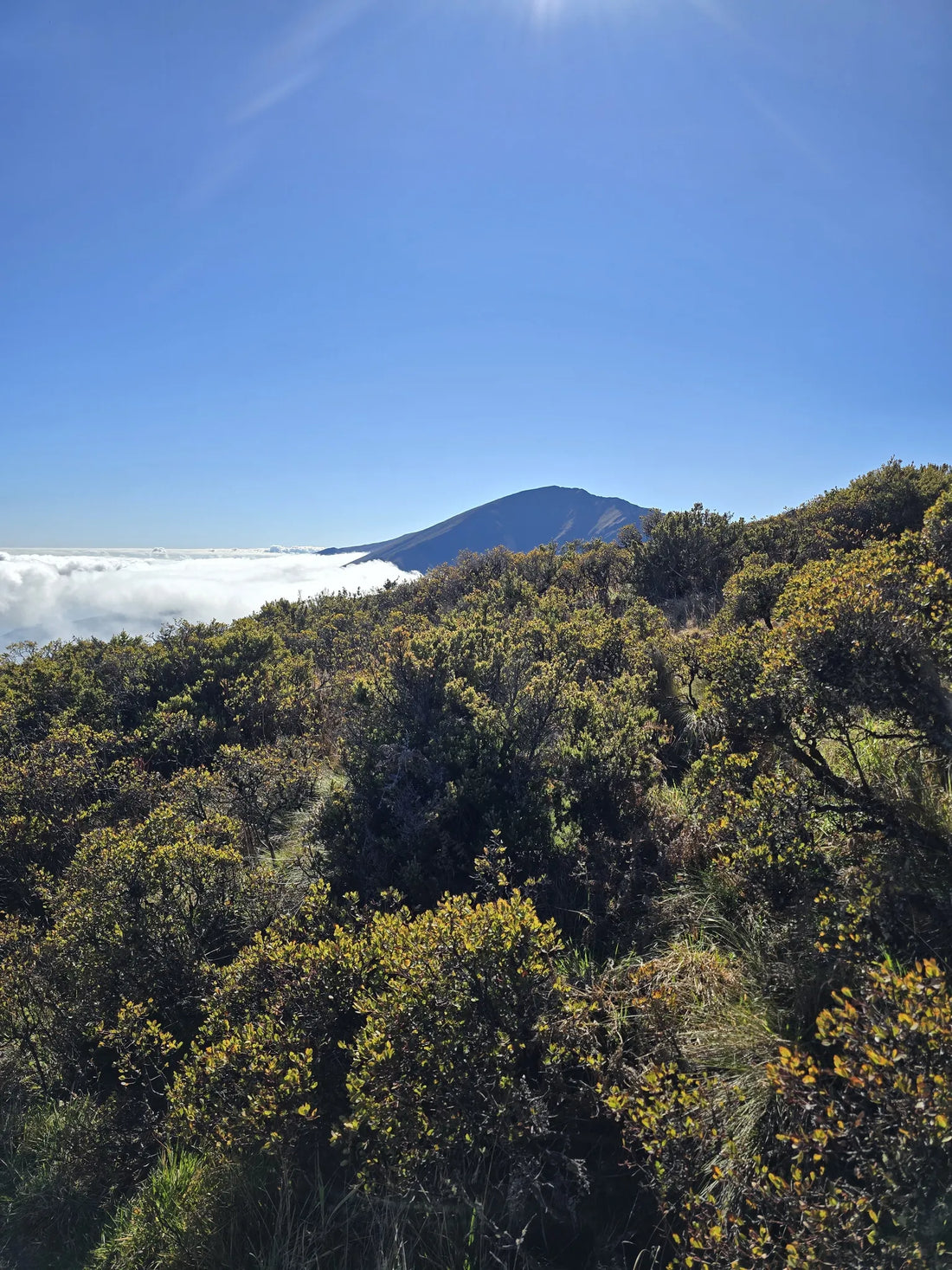 Top or Best Facebook Management Agencies and Companies in Hawaii