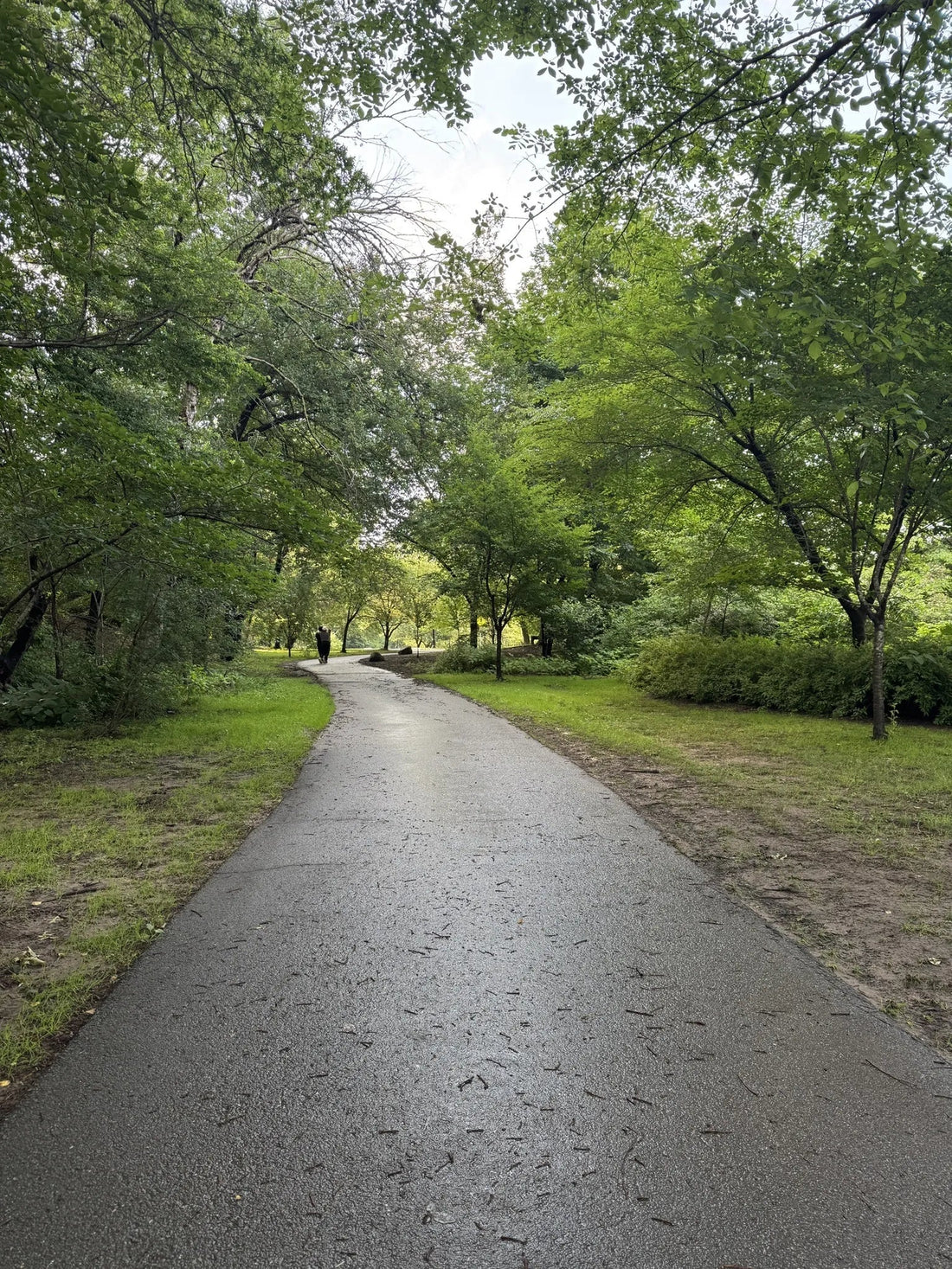 Best or Top Instagram Management Agencies and Companies in Newark, New Jersey