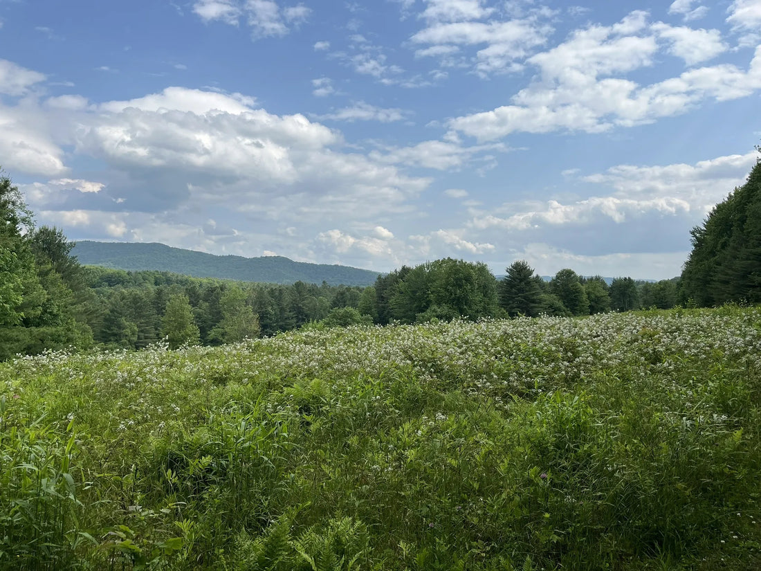 Best or Top Presentation Design Agencies and Companies in Barre City, Vermont