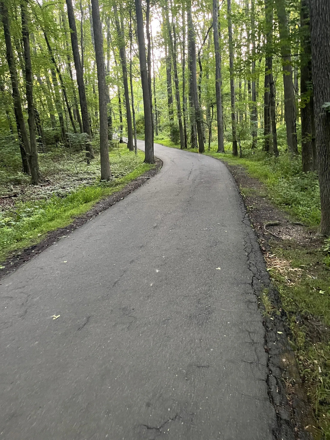 Best or Top Poster Design Agencies and Companies in Hamilton Township, New Jersey