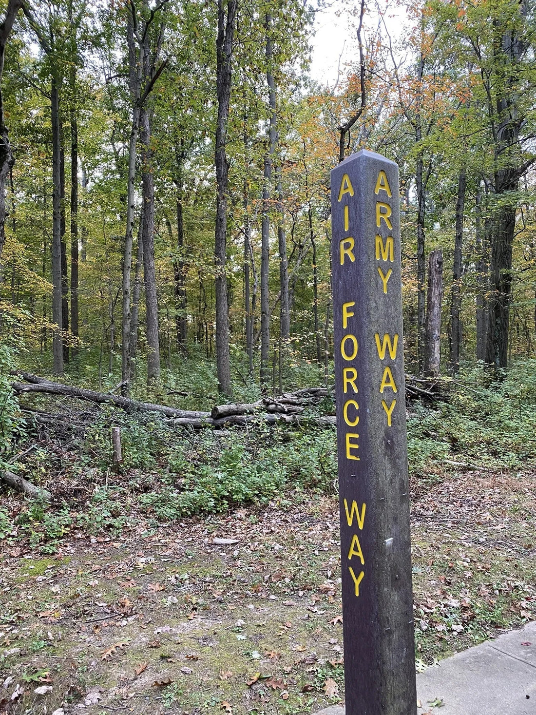 Best or Top Flyer Design Agencies and Companies in Hamilton Township, New Jersey