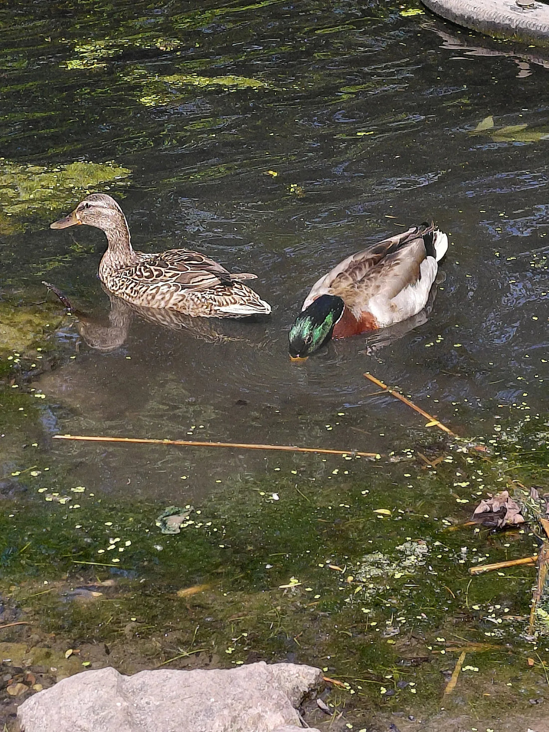 Best or Top X (Twitter) Management Agencies and Companies in Newark, New Jersey