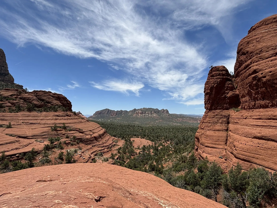 Talent Management in Arizona
