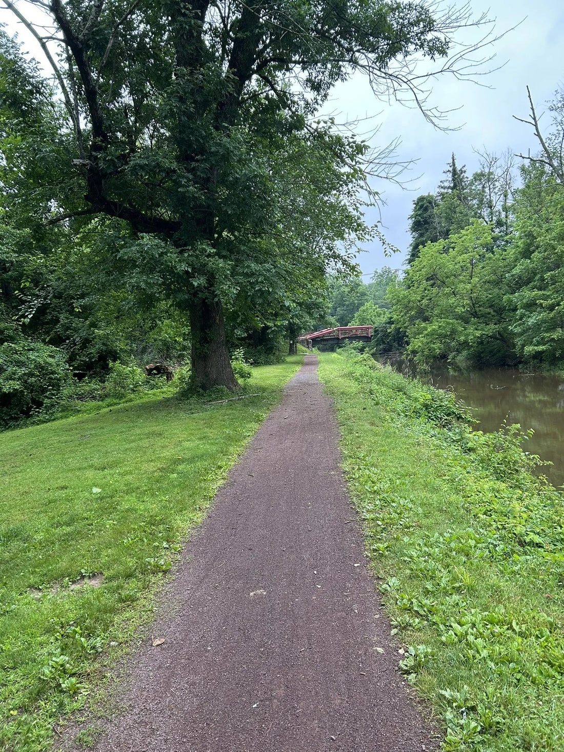 Best or Top Custom Graphics for Videos Agencies and Companies in Trenton, New Jersey