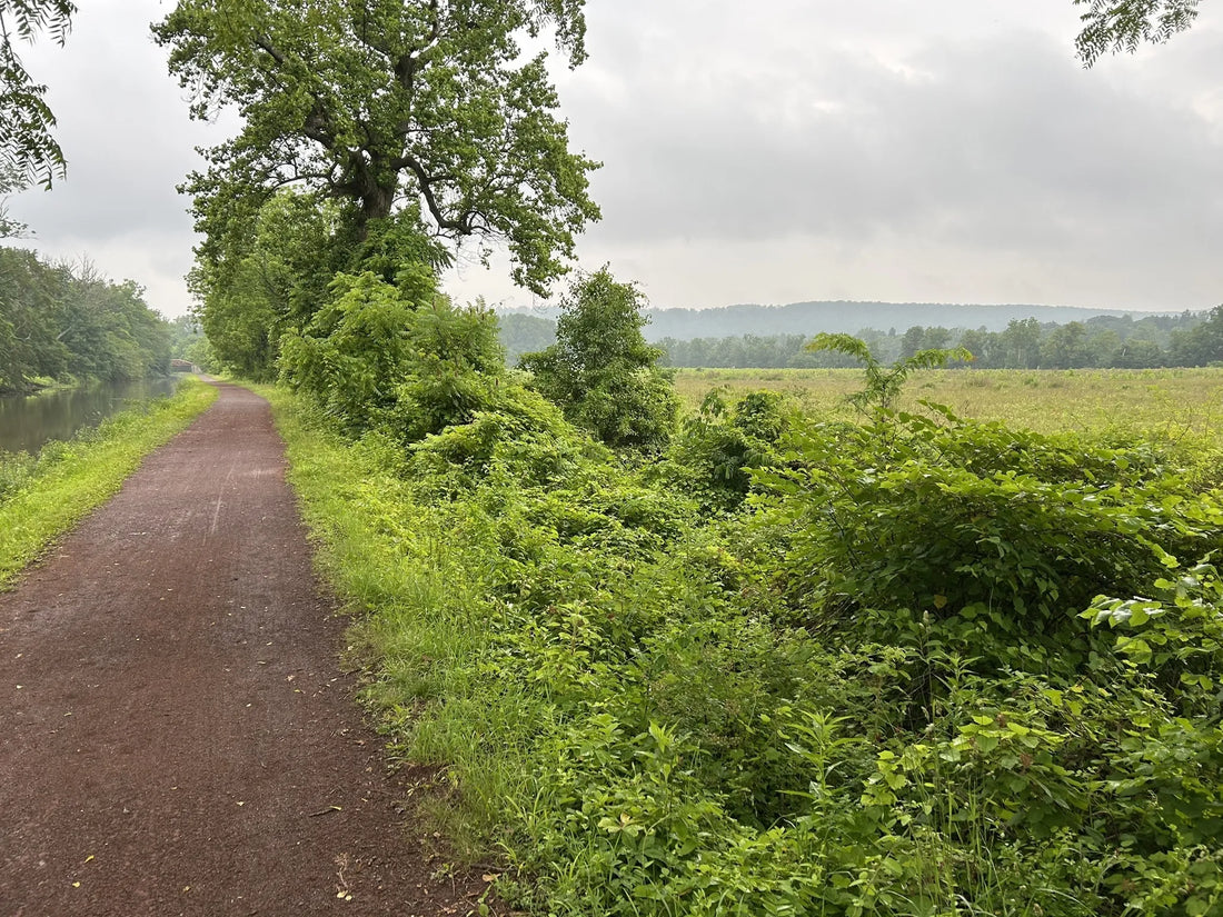 Best or Top Animation and Motion Graphics Agencies and Companies in Trenton, New Jersey