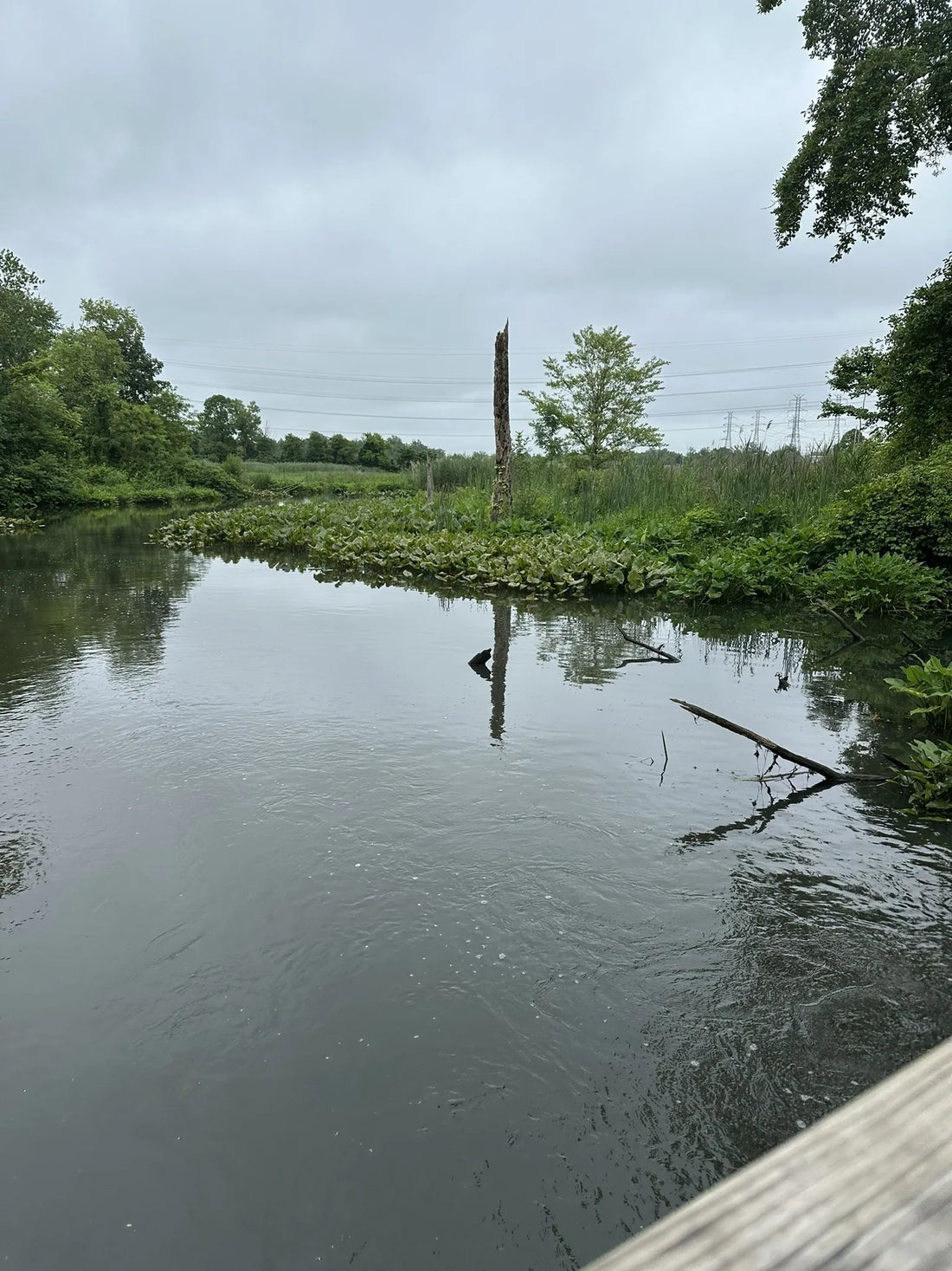 Best or Top Graphics for Streamers Agencies and Companies in Trenton, New Jersey