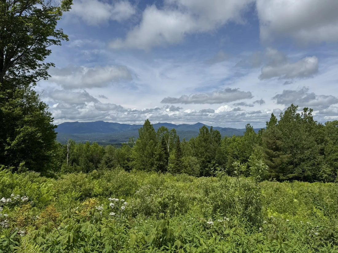 Best or Top Brochure Design Agencies and Companies in St. Johnsbury, Vermont