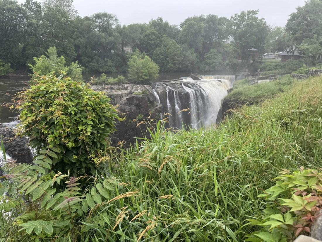 Best or Top Brochure Design Agencies and Companies in Paterson, New Jersey