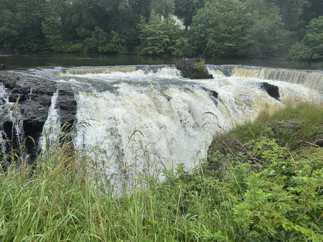 Best or Top Photo Editing Agencies and Companies in Paterson, New Jersey