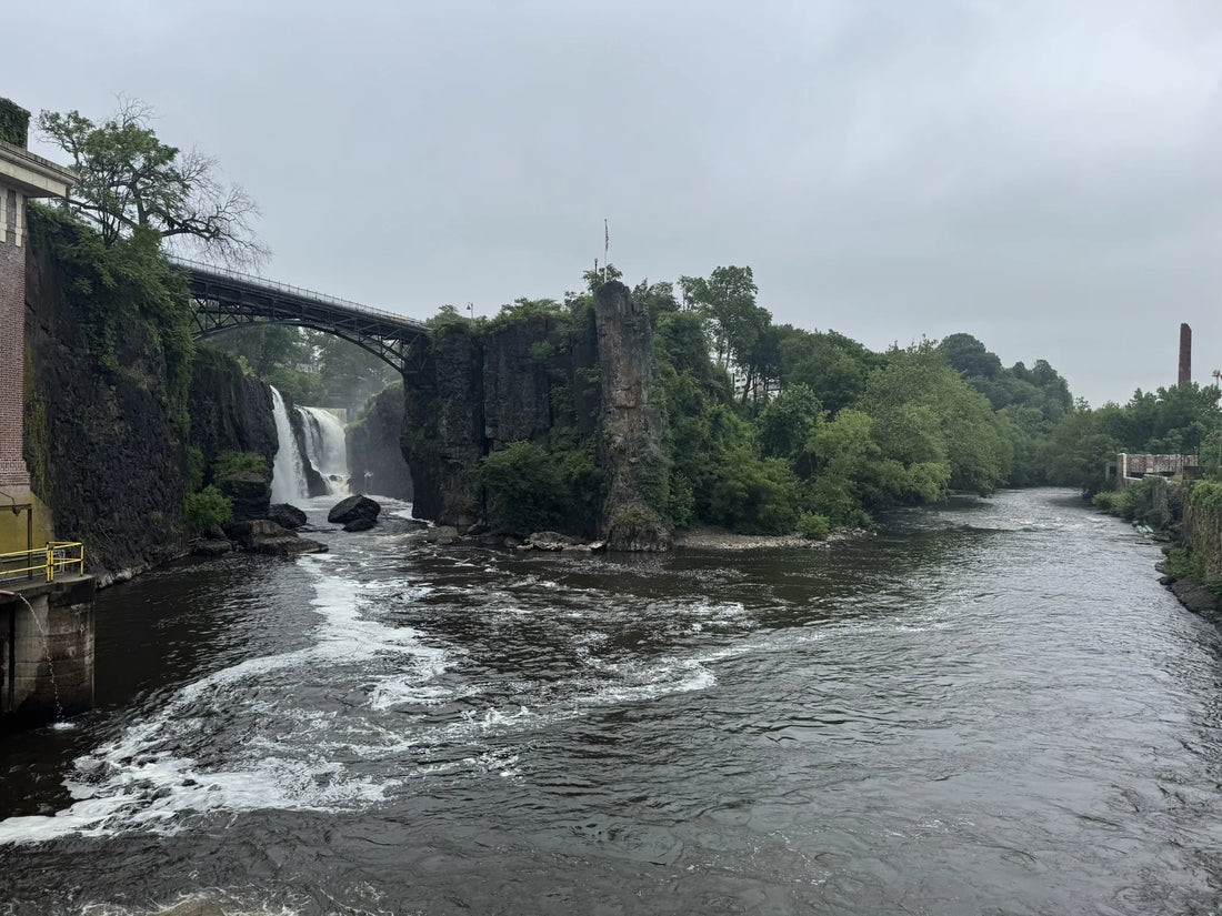 Best or Top App UI/UX Design Agencies and Companies in Paterson, New Jersey