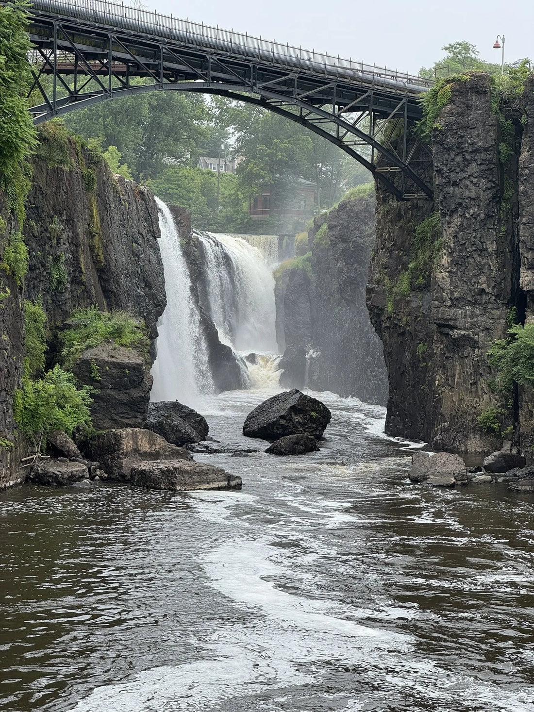 Best or Top Flyer Design Agencies and Companies in Paterson, New Jersey