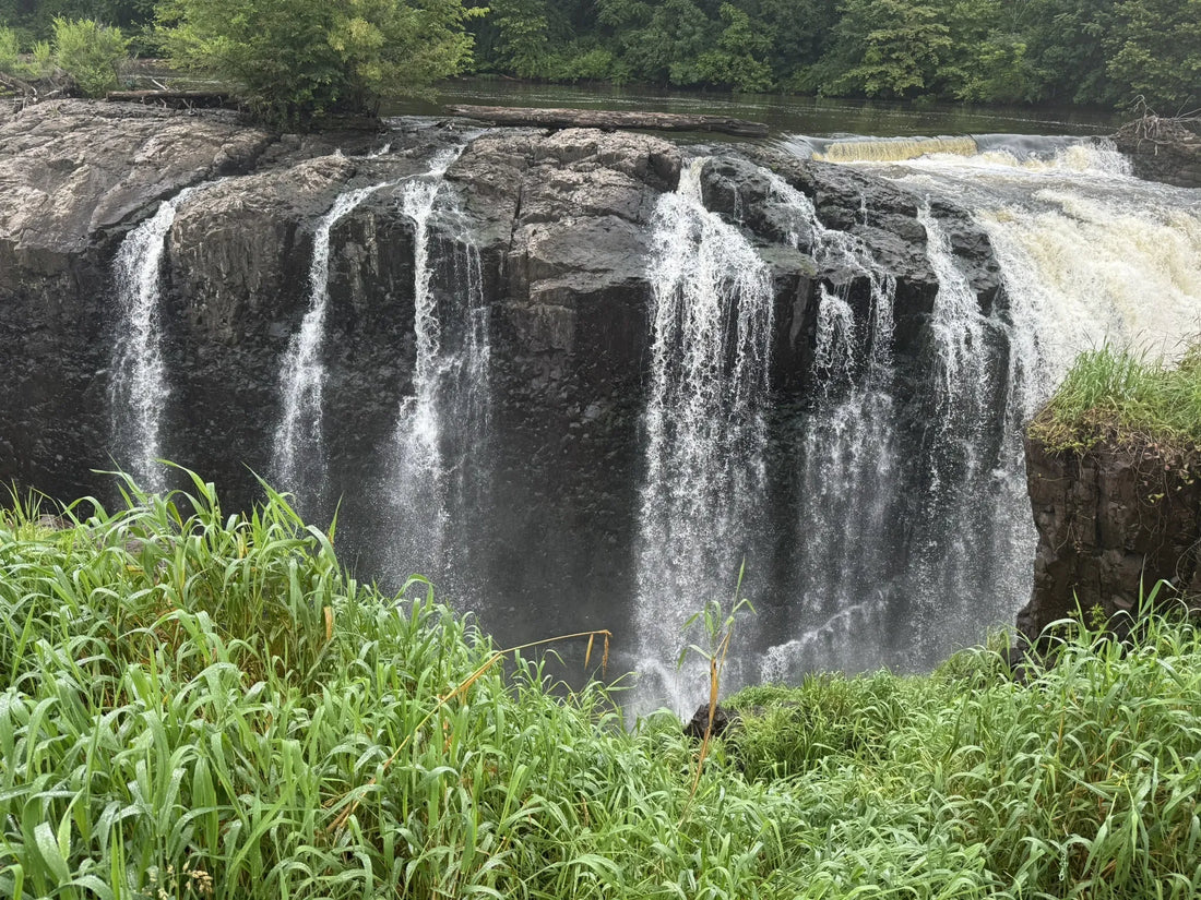 Best or Top Infographic Design Agencies and Companies in Paterson, New Jersey