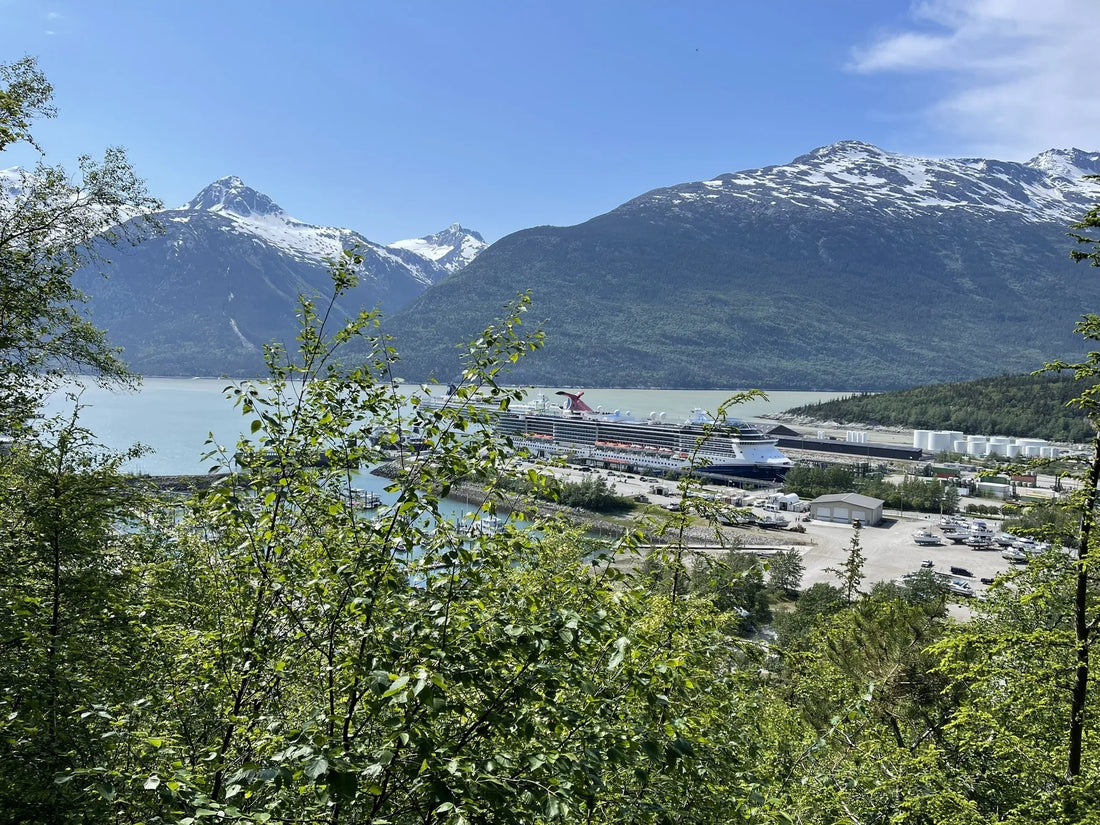 Top Album Cover Design Agencies and Companies in Alaska