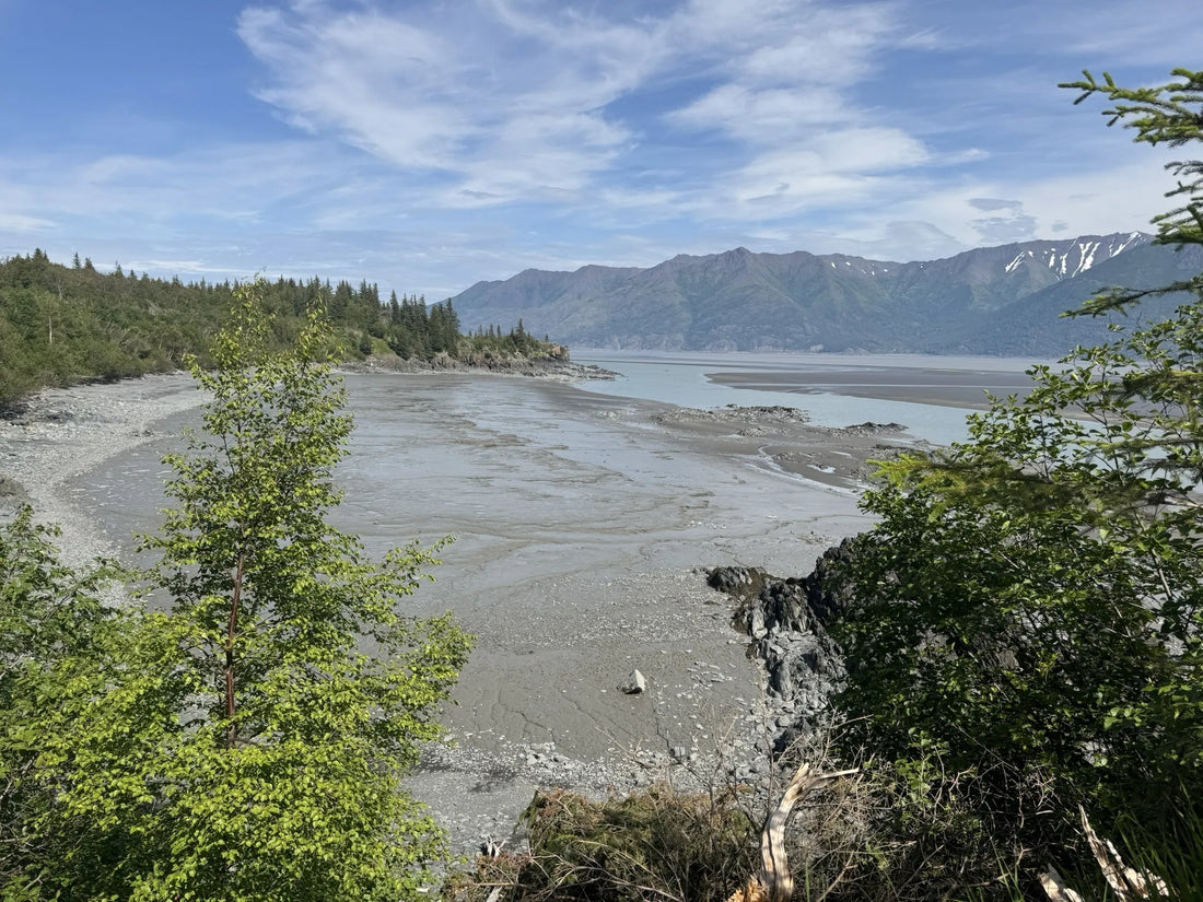 Top Talent Management Agencies and Companies in Alaska