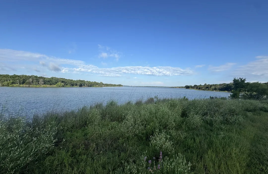 Top or Best TikTok Management Agencies and Companies in Moore, Oklahoma