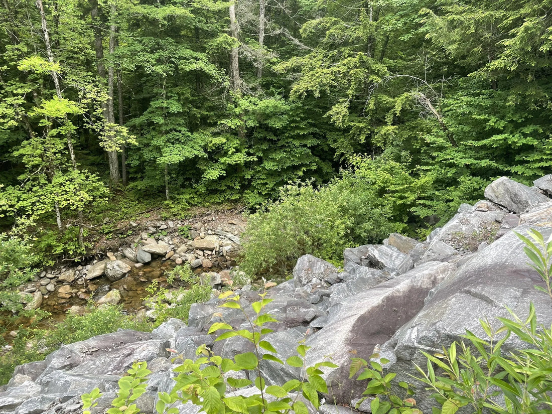 Best or Top Portraits & Caricatures Agencies and Companies in Montpelier, Vermont