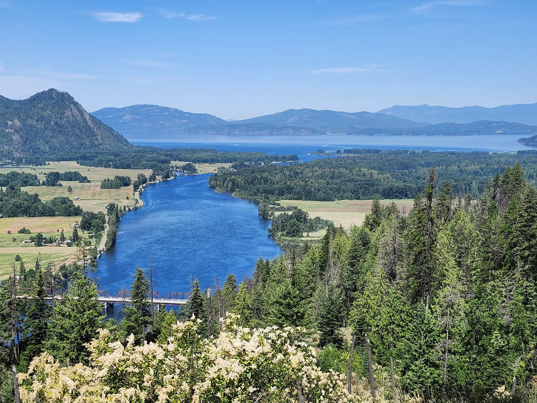 Top or Best Brand Partnership Agencies and Companies in Idaho