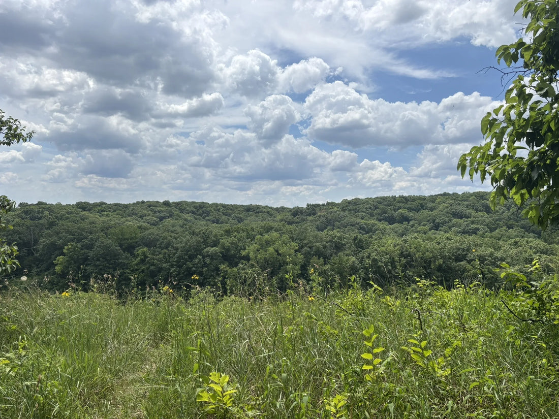 Top or Best Flyer Design Agencies and Companies in Illinois