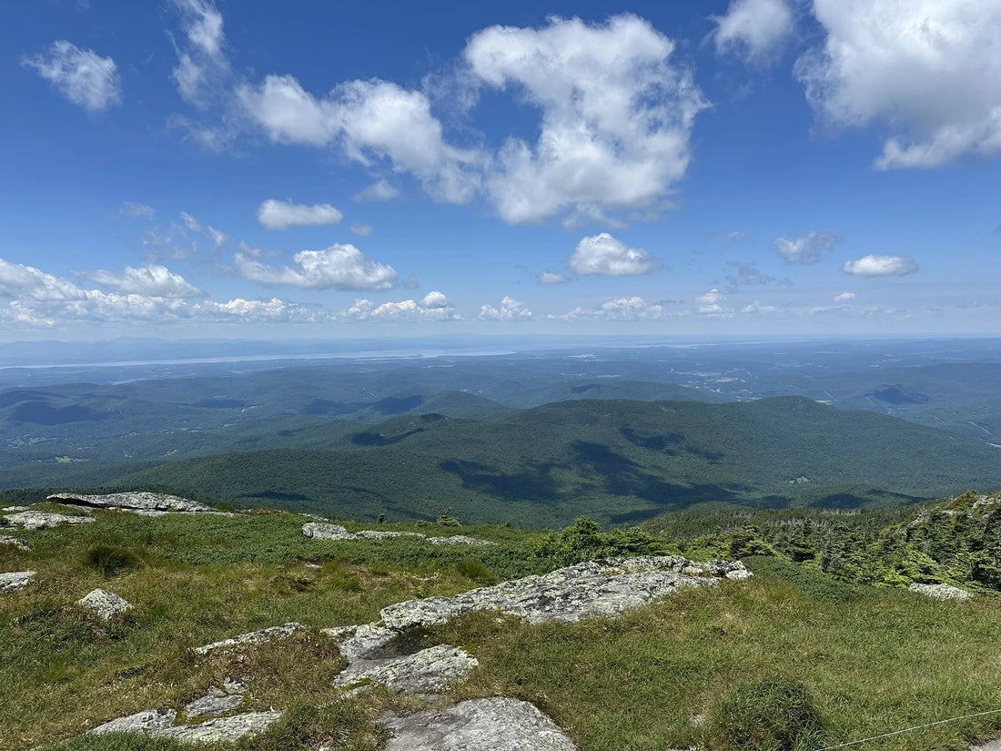 Best or Top Business Card Design Agencies and Companies in St. Johnsbury, Vermont