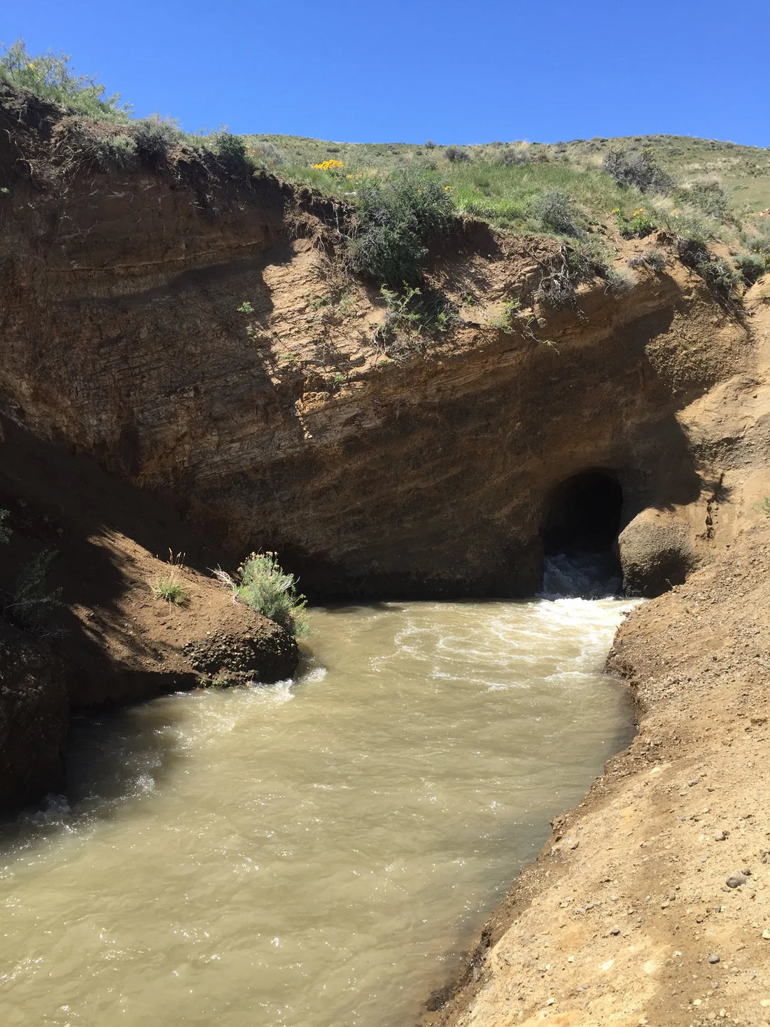 Best or Top Brochure Design Agencies and Companies in Reno, Nevada