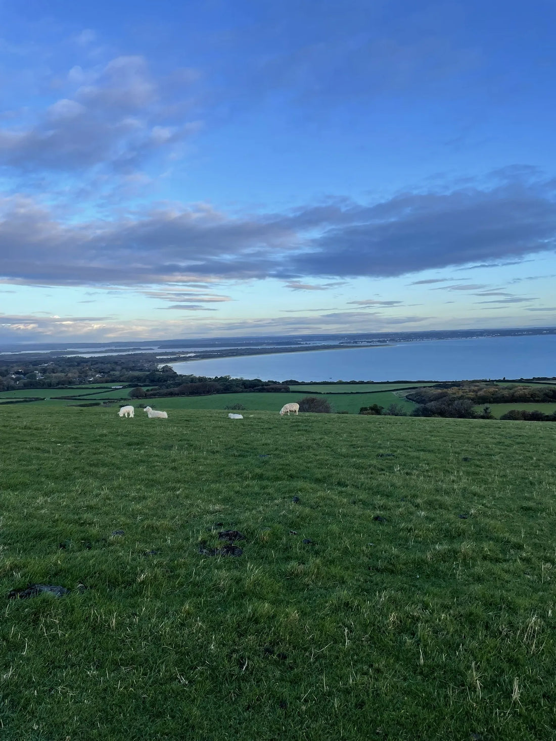 Top or Best Direct Mail Design Agencies and Companies in Poole, England