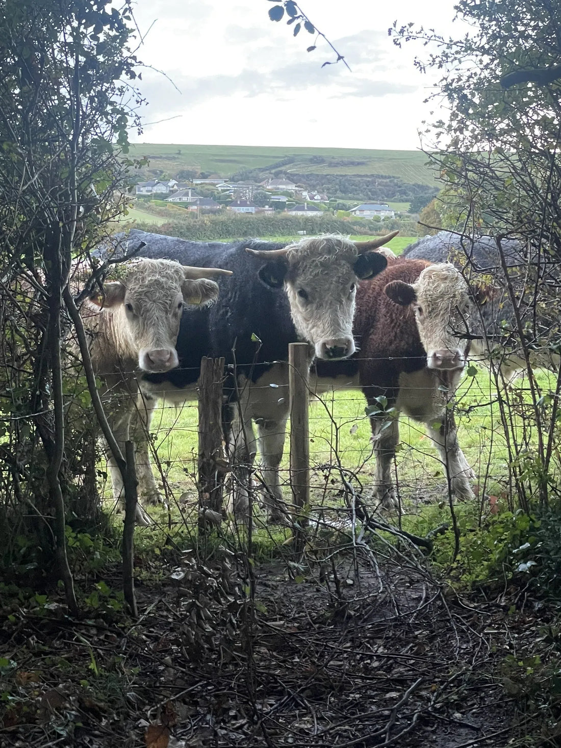 Top or Best AR Filters & Lenses Agencies and Companies in Poole, England