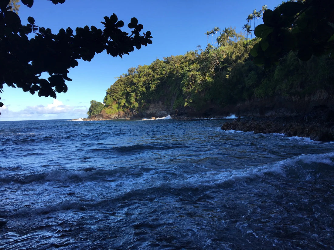 Top or Best Cartoons & Comics Agencies and Companies in Hawaii