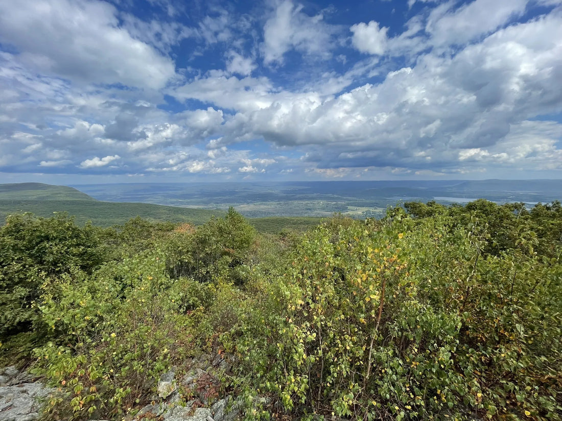 Top Talent Agencies and Companies in Connecticut